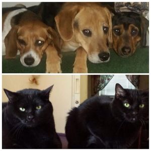 Meet your Posher, Kathy